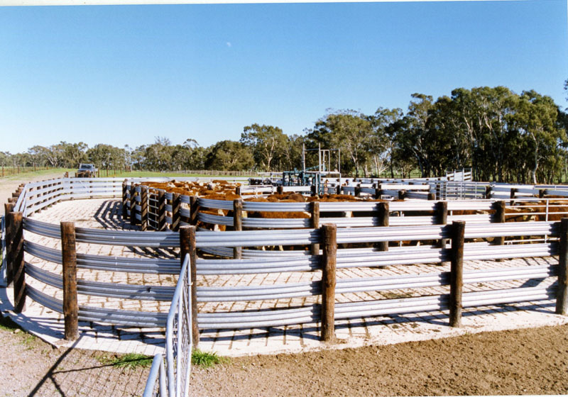 Presto Cattle Yards